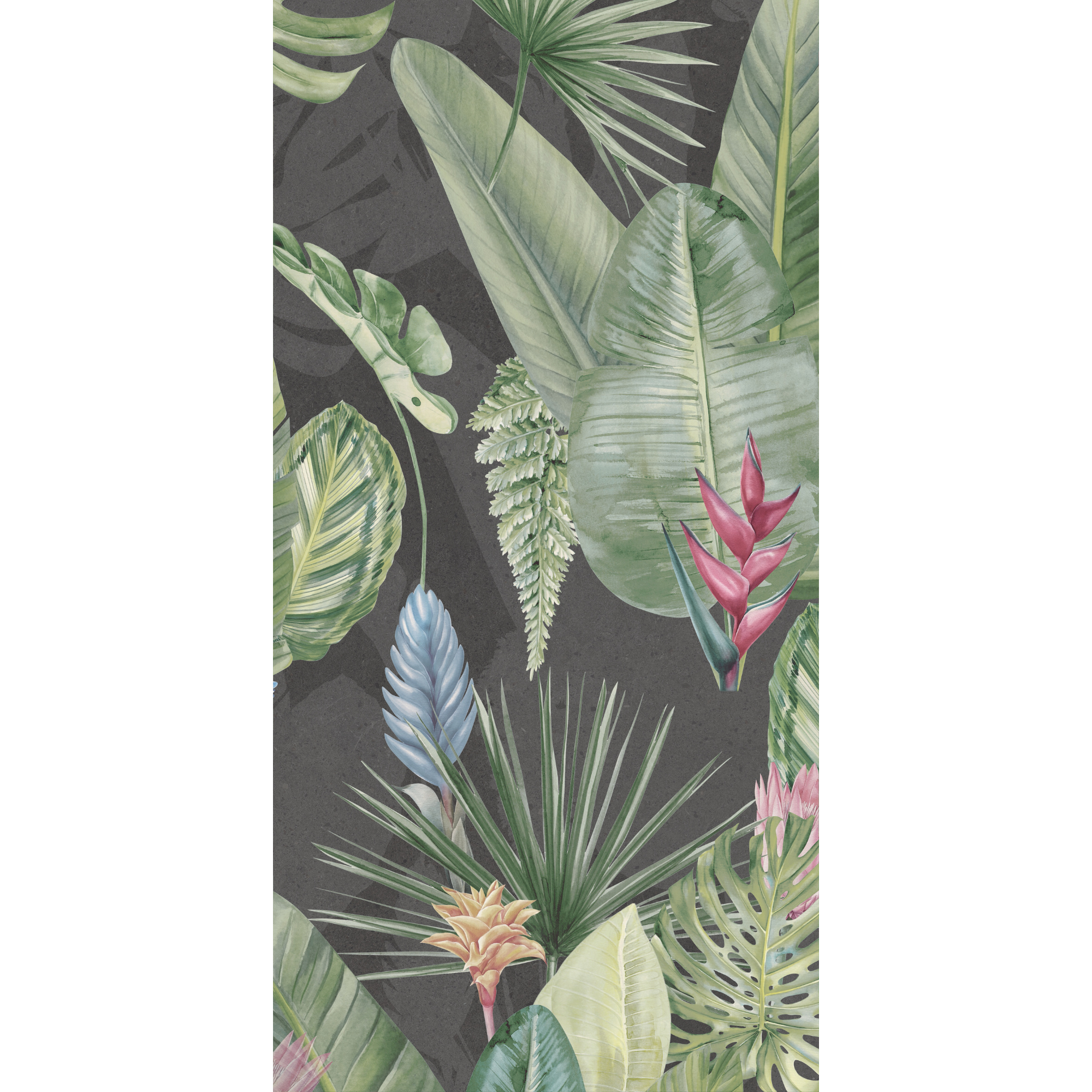 60X120 DECOR VEGETAL LINKA NOIR MIX RECTIFIE