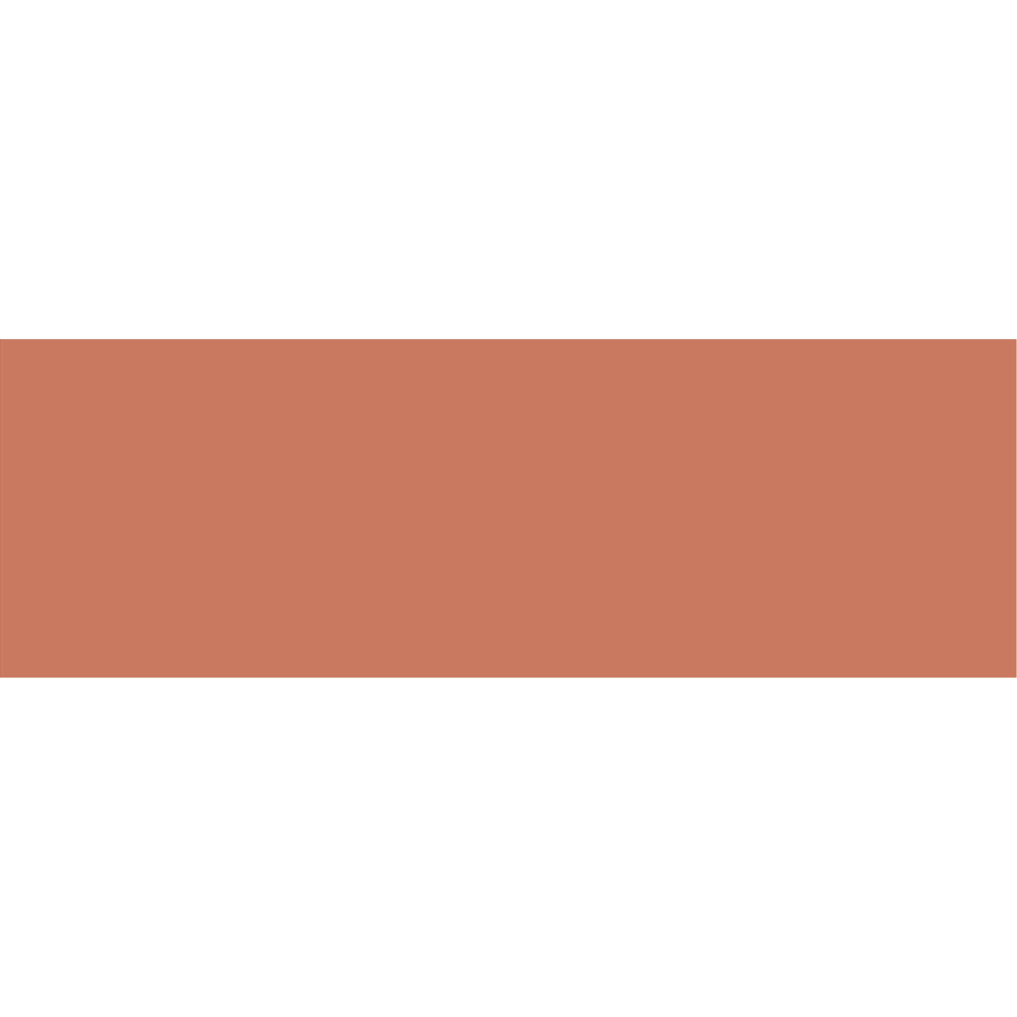 30X90 CHROMA ROUGE RECTIFIE