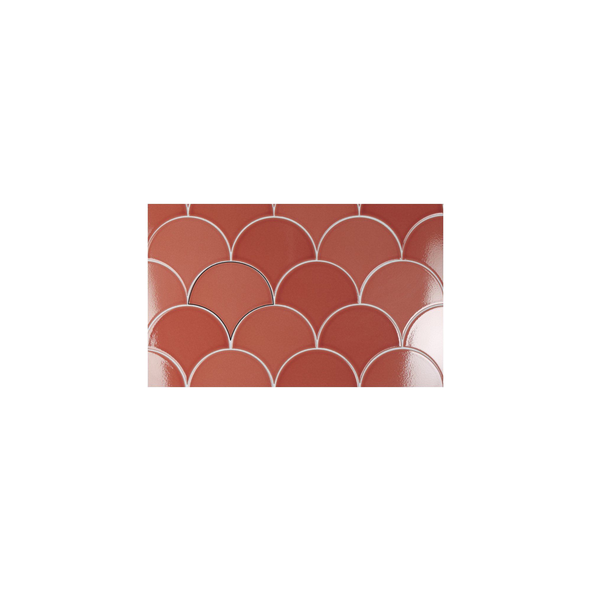 COLLECTION MOTIONA CORAIL