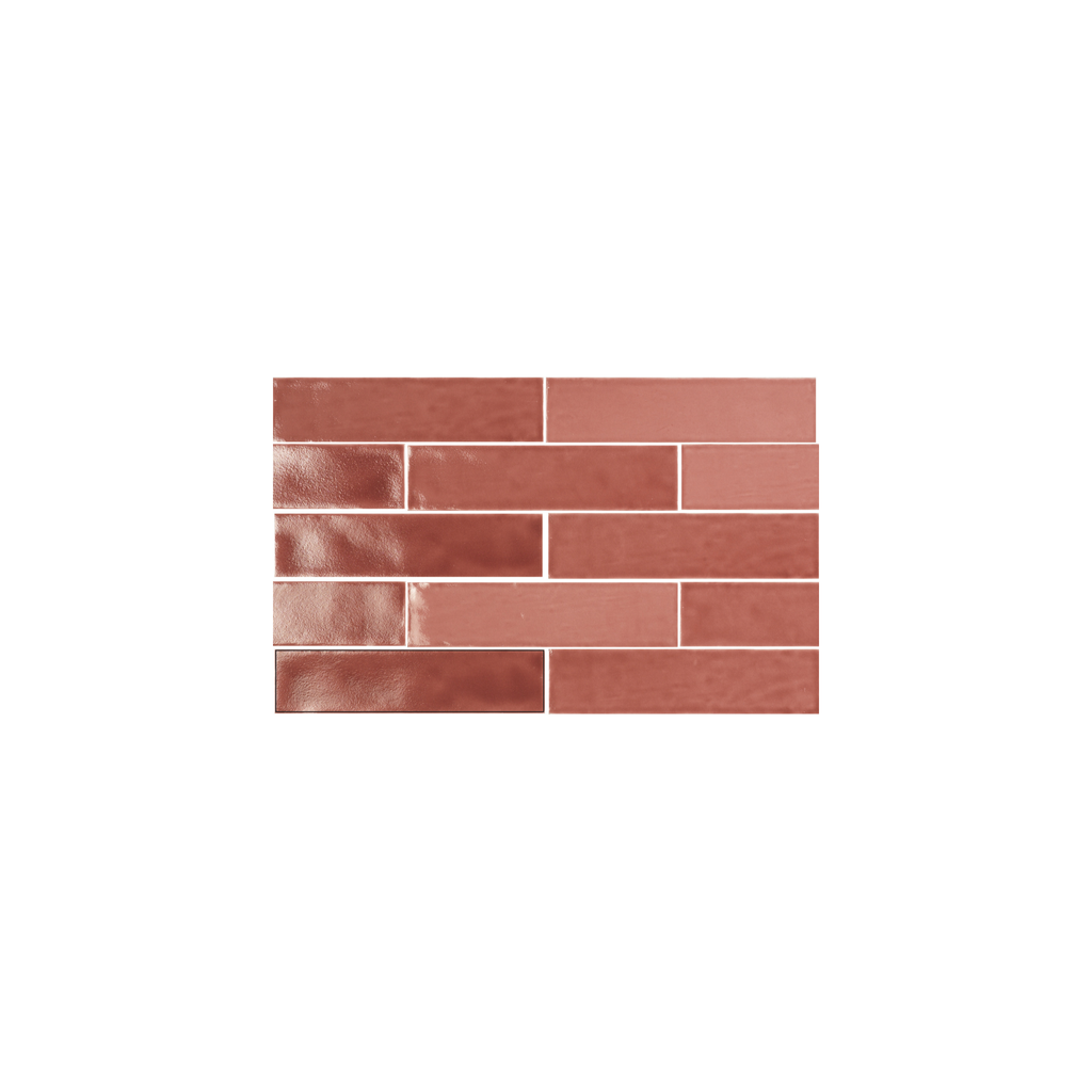 15,5X17 collection-motiona-corail
