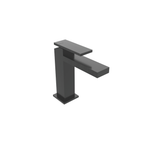 ROBINETTERIES COLLECTION PLANE CHROME NOIR BROSSEE